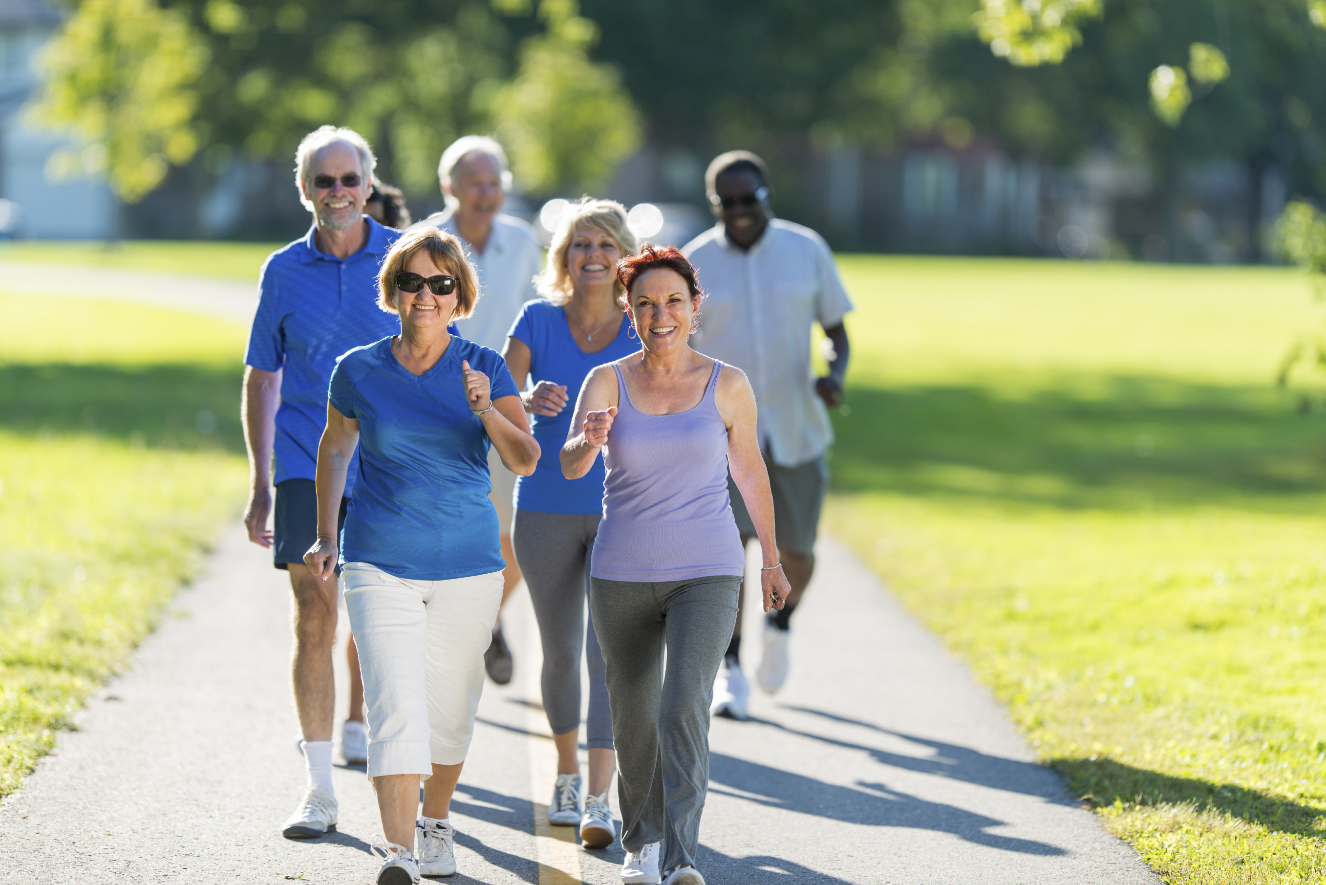Active Healthy Seniors